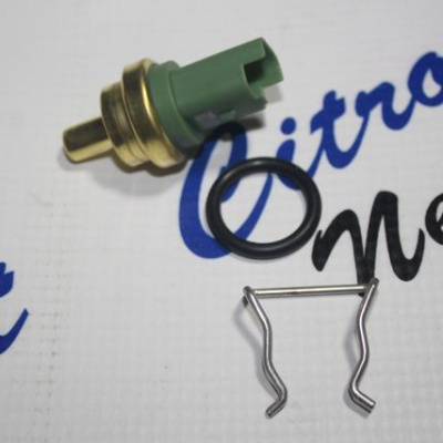 TEMPERATURE SWITCH C&P